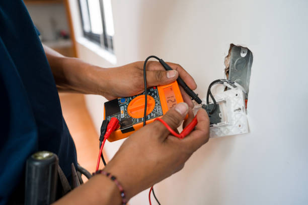 Best Electrical System Inspection  in Hudsonville, MI