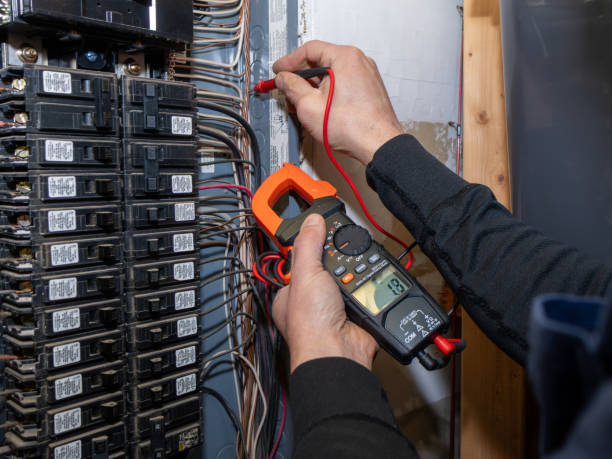 Best Affordable Emergency Electrician  in Hudsonville, MI